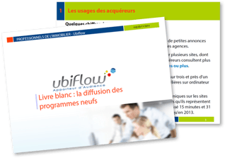 Visuel LB la diffusion des programmes neufs