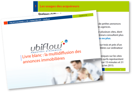 Visuel-LB-multidiffusion-annonces-immobilieres