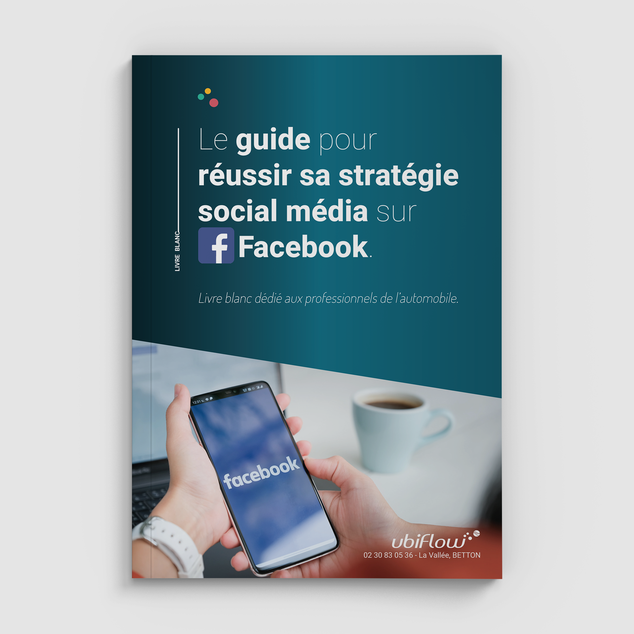mockup-face-livre-blanc-facebook-auto-2