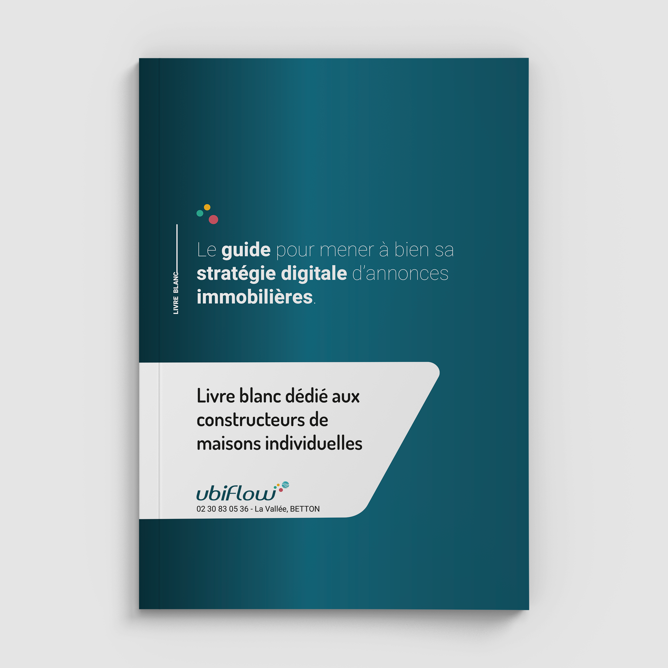 Mockup-face-Livre-blanc-cmi