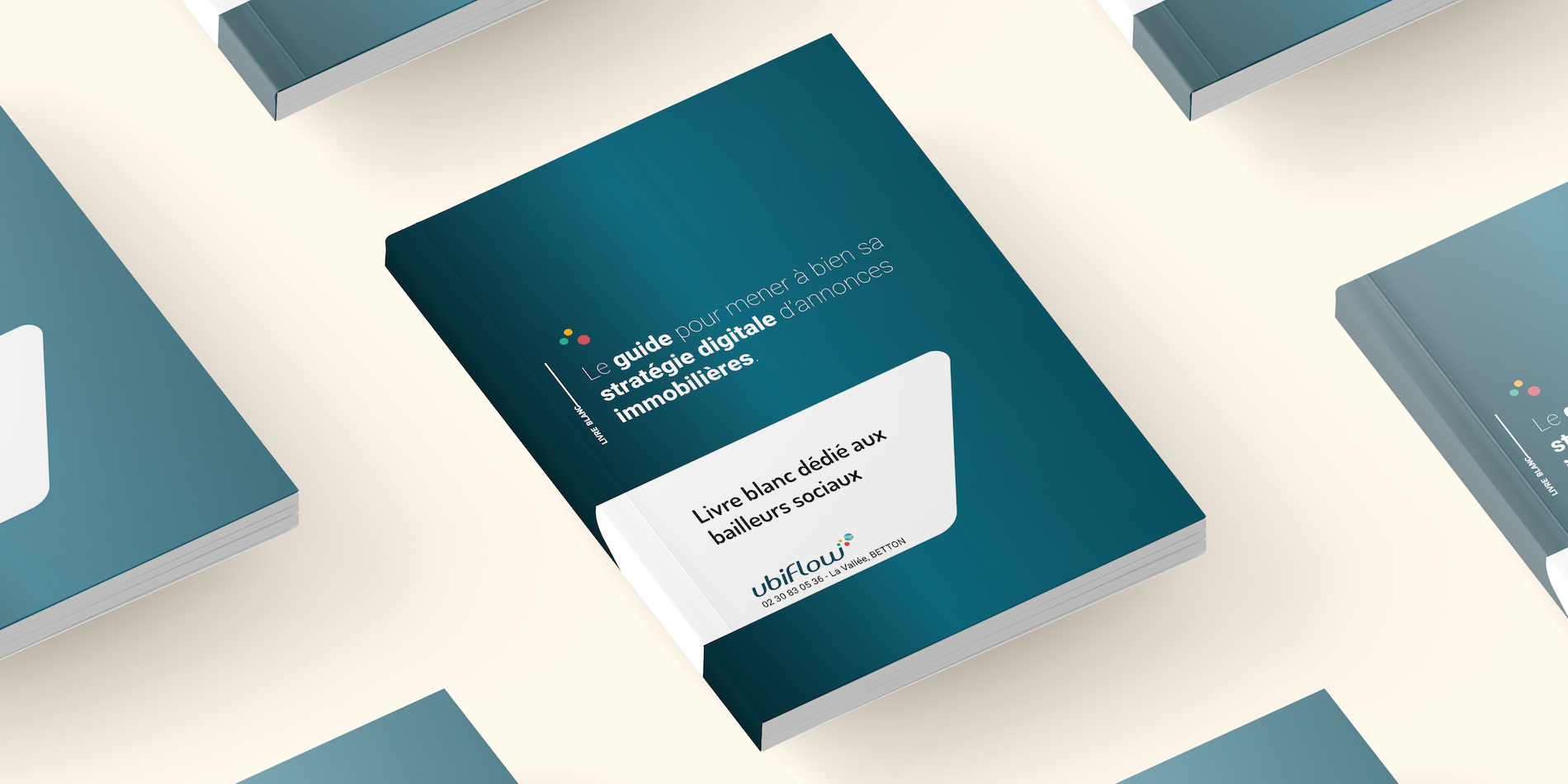 Couverture avec un dégradé de bleu du livre blanc intitulé 